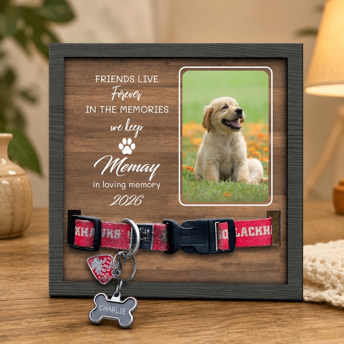You Were My Favorite Hello And My Hardest Goodbye - Memorial Personalized Custom Pet Loss Sign, Collar Frame - Upload Image, Sympathy Gift, Gift For Pet Owners, Pet Lovers
