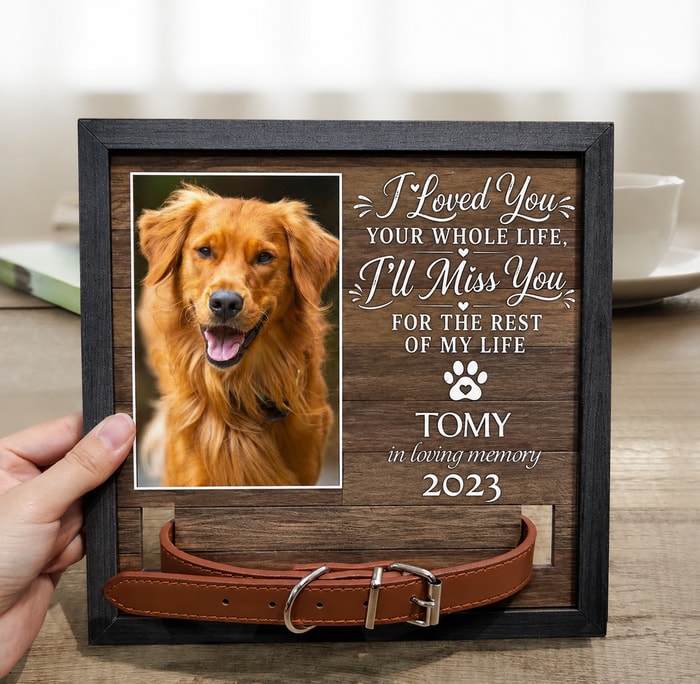 Custom Photo My Hardest Goodbye - Memorial, Sympathy Gift For Dog Owners, Cat Lovers - Personalized Pet Loss Sign, Collar Frame